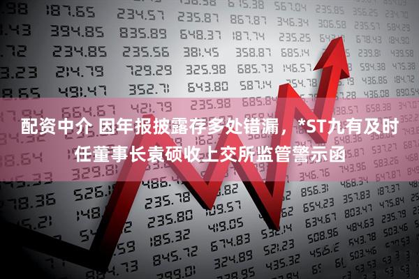 配资中介 因年报披露存多处错漏，*ST九有及时任董事长袁硕收上交所监管警示函