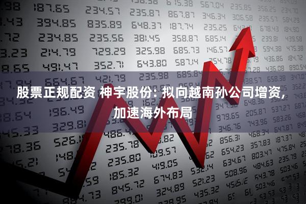 股票正规配资 神宇股份: 拟向越南孙公司增资, 加速海外布局